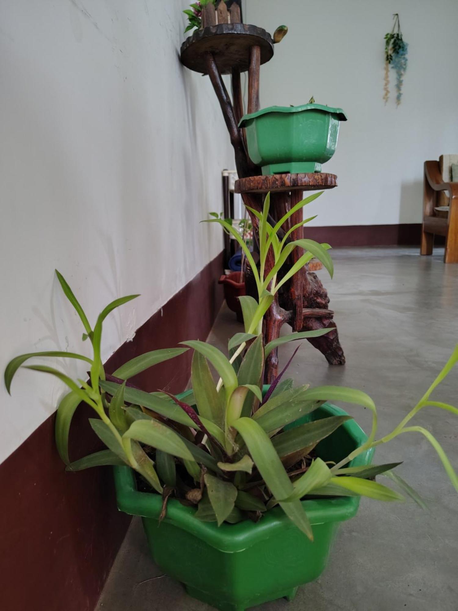 Gayatri Homestay Dibrugarh Extérieur photo